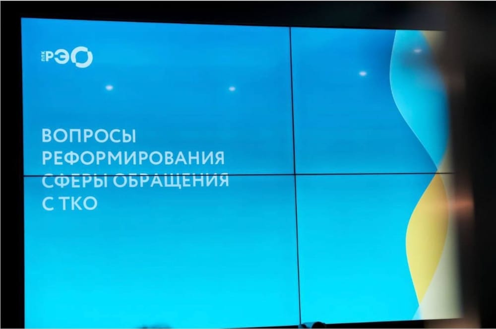Светлана Бик вновь назначена председателем Экспертного совета по устойчивому развитию ППК РЭО