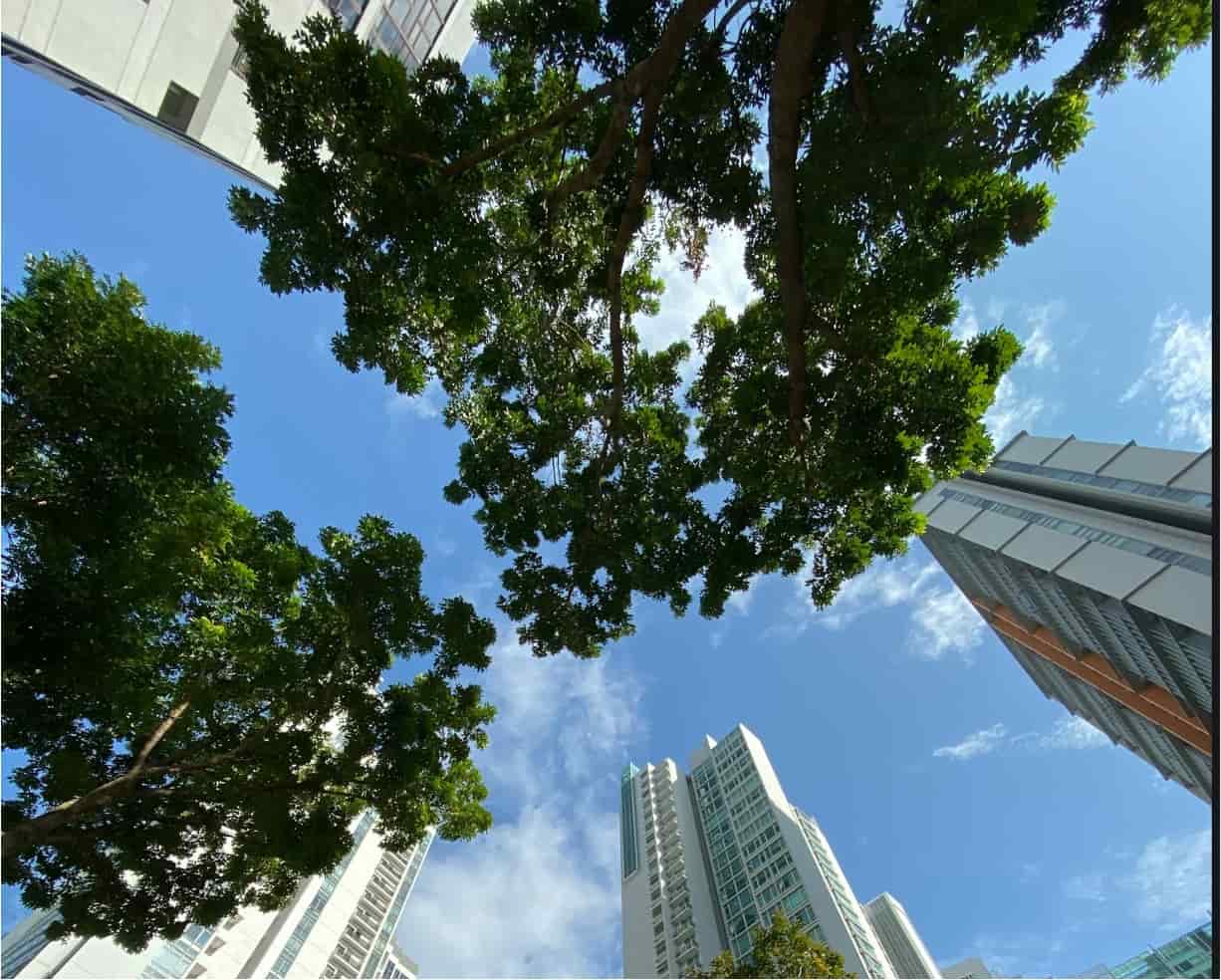 Зеленые облигации городов мира: от Кейптауна через Москву до Якутска