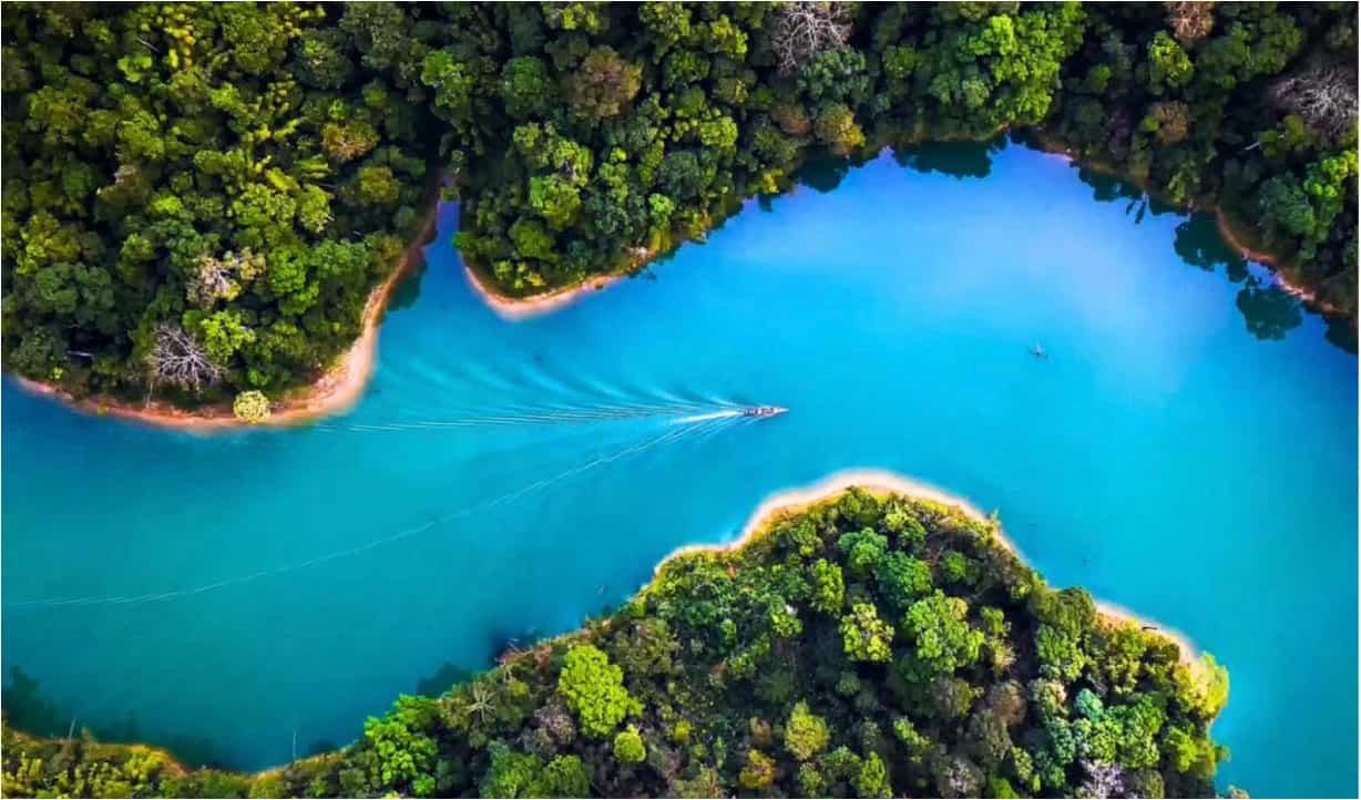 От снижения ущерба к реальной пользе: разработан новый подход к сертификации биоразнообразия