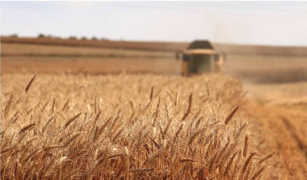 Принципы ESG и устойчивой экономики в пищевом производстве