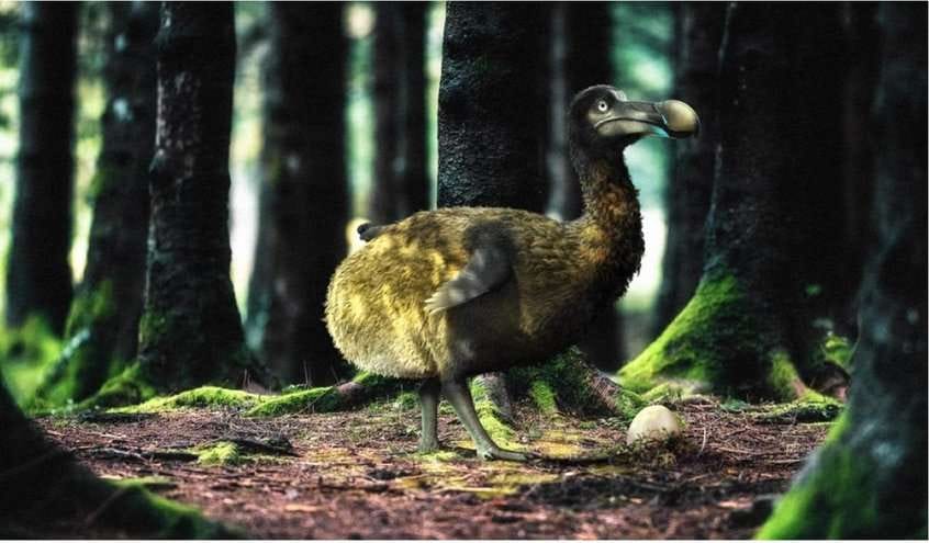 Воскрешение vs сохранение: почему возникают этические дилеммы при развитии новых биотехнологий