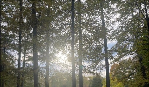 Конкурсы и премии осени 2025: повестку устойчивого развития двигают люди