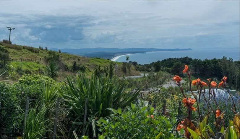 Многосторонние банки развития: создана общая таксономия природного финансирования