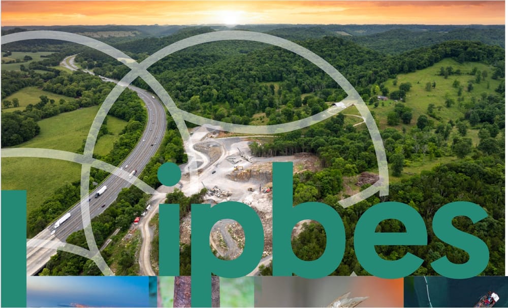 Двойной агент: бизнес как главная угроза и главный ресурс сохранения биоразнообразия