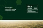 Как финансировать циркулярную экономику: ЮНЕП выпустил руководство для банков