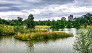 Курс на восстановление: как строительная индустрия переосмысливает роль природы