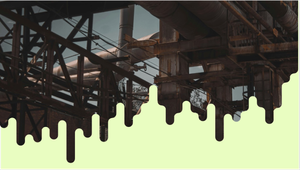 ИНФРАГРИН запускает дайджест «Природа и капитал»: биоразнообразие становится финансовой категорией