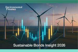 Год паузы и новая архитектура: что показал глобальный рынок устойчивых облигаций 2025