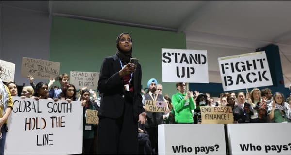 Консенсус ценой компромисса: анализ достижений и противоречий СОР29