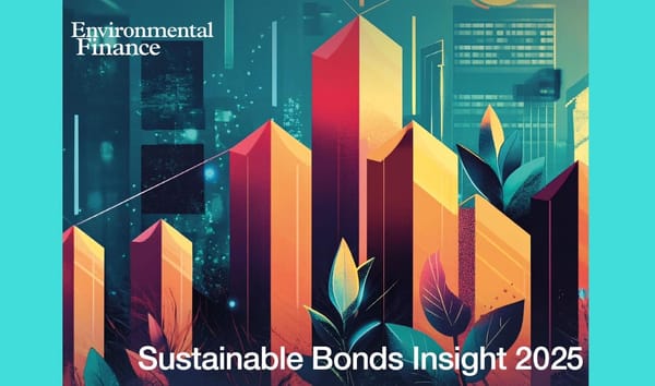 Опубликован отчет о глобальном рынке устойчивых облигаций-2024 объемом свыше $1 трлн