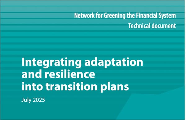 Финансирование климатической адаптации: глобальный вызов и российские подходы