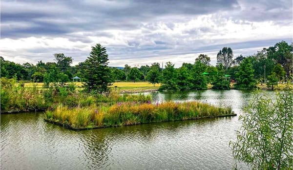 Курс на восстановление: как строительная индустрия переосмысливает роль природы