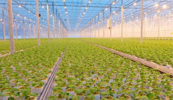 Экономика природы: Агентство стратегических инициатив открывает  новую программу для регионов