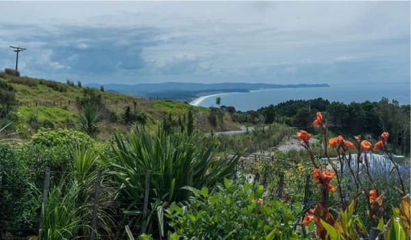Многосторонние банки развития: создана общая таксономия природного финансирования